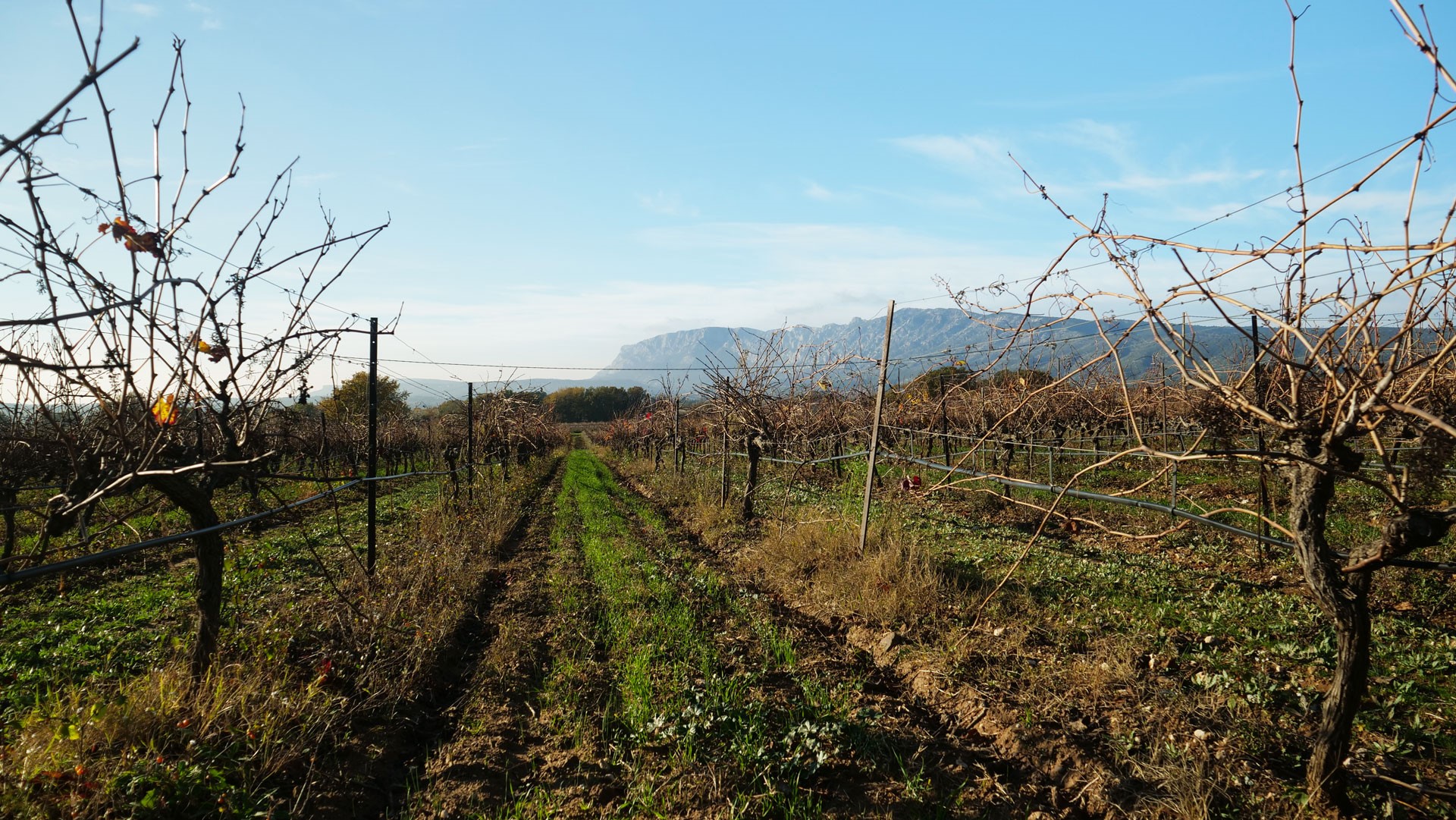 expert comptable var pourrières trets saint-maximin puyloubier rians